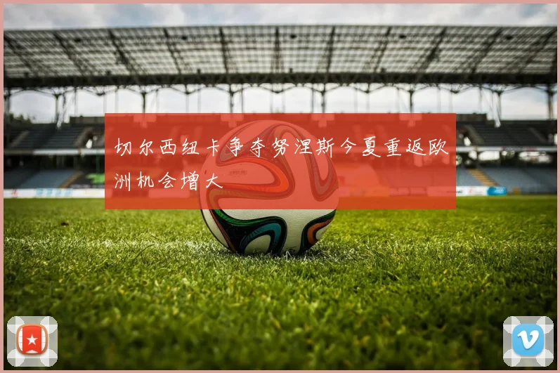 切尔西纽卡争夺努涅斯今夏重返欧洲机会增大