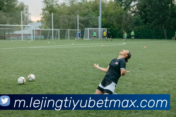 乐竟体育平台生态图